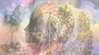 Mystical Herbs for Lucid Dreaming: