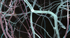 The Neurochemistry Behind Lucid Dreaming Supplements